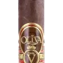 Oliva Serie V Double Toro