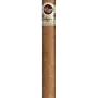 Padron 1964 ASeries Principe Natural