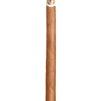 Macanudo Portofino Cafe