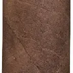 Padron 1964 Torpedo Natural