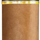 Perdomo 20th Ann. CT Robusto